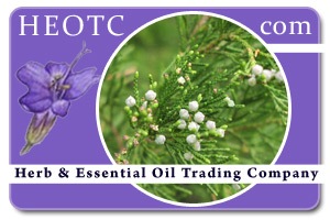 Cedarwood-virginiana | Juniperus virginiana @ HEOTC.com