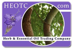 Cinnamon | Cinnamomum zeylanicum @ HEOTC.com