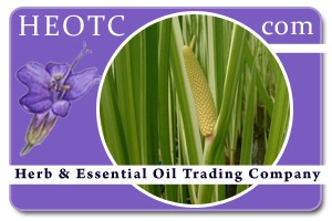 calamus | Acorus calamus @ HEOTC.com