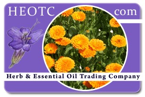 calendula | Calendula officinalis @ HEOTC.com