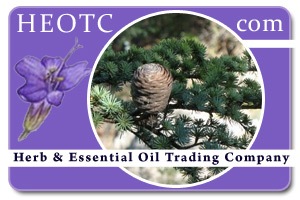 cedarwood-atlas | Cedrus atlantica @ HEOTC.com