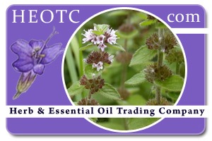 corn-mint | Mentha arvensis @ HEOTC.com