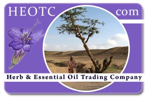 Frankincense | Boswellia carteri @ HEOTC.com