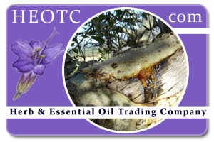 Frankincense | Boswellia neglecta @ HEOTC.com