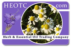 german-chamomile | Matricaria recutita @ HEOTC.com