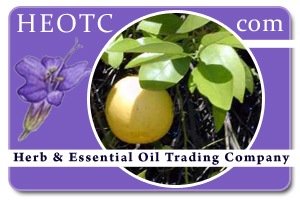 grapefuit | Citrus paradisi @ HEOTC.com