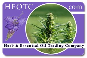 hemp | Cannabis sativa @ HEOTC.com