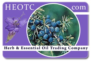 juniper | Juniperus communis @ HEOTC.com