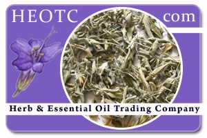 Sage leaf | Salvia officinalis @ HEOTC.com