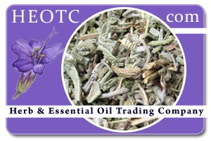 Sage Herb | Salvia officinalis @ HEOTC.com