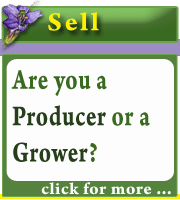 selling herbs, essential oils, hydrosols and extracts